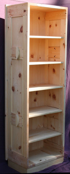 Frame and Panel Coffin with Bookcase Insert